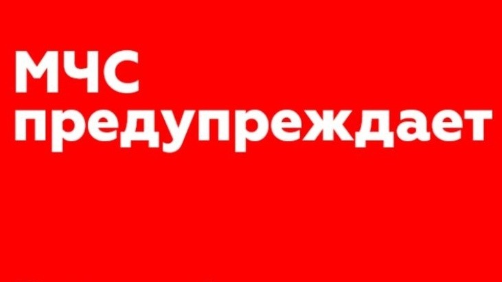 ���������  ����������� 